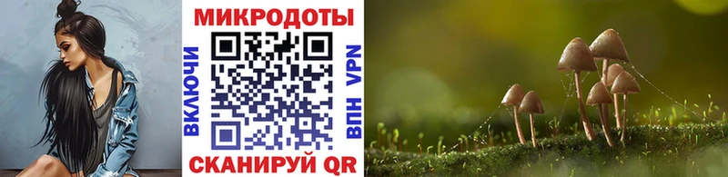 Псилоцибиновые грибы MAGIC MUSHROOMS  блэк спрут вход  Воскресенск 